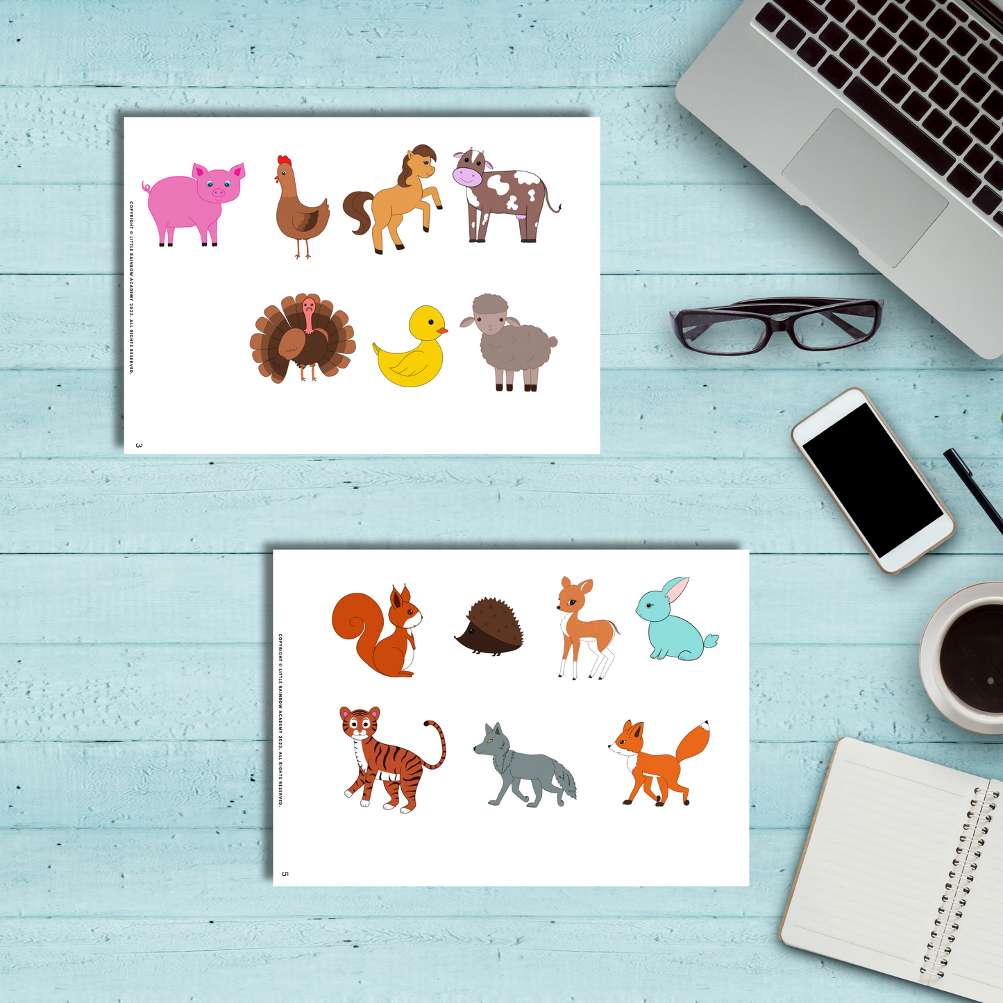 🐮🦁 Wild or Farm? Animal Sorting Fun!