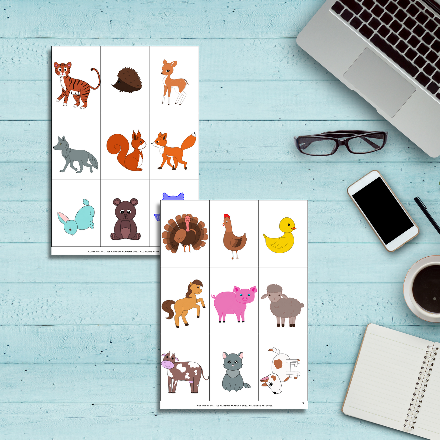 🐮🦁 Wild or Farm? Animal Sorting Fun!
